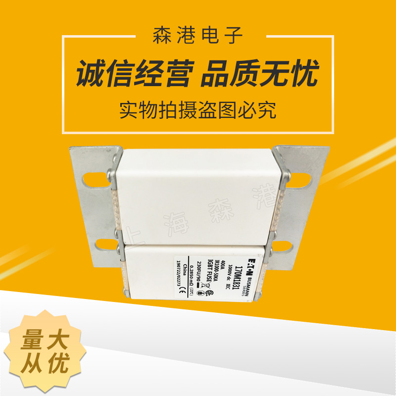 巴斯曼熔断器 170M1831全新现货质量保证690v