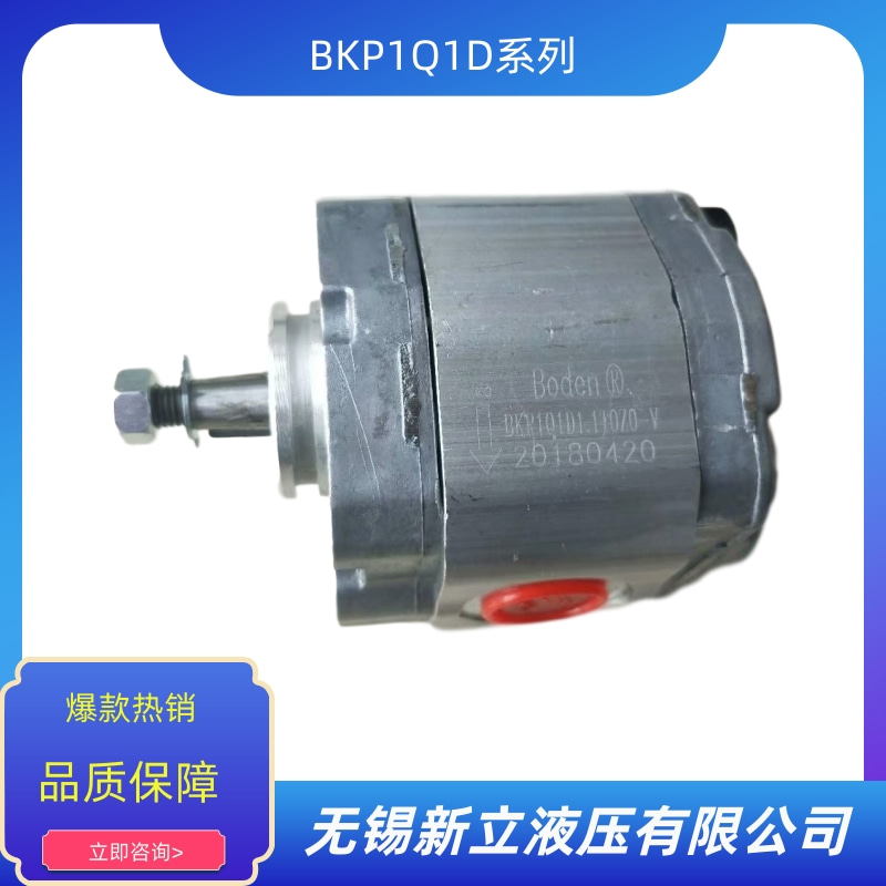 無錫油泵BKP1Q1D0.8T0Z0-V價(jià)格 批發(fā) 供貨商 生產(chǎn)廠家【無錫新立液壓有限公司】