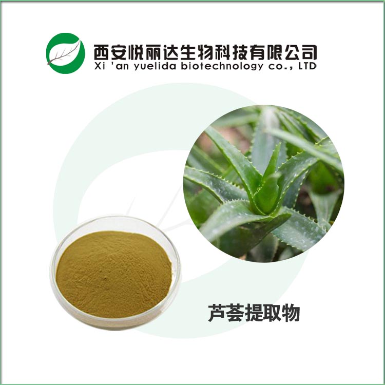 蘆薈提取物圖片/蘆薈提取物樣板圖 (4)