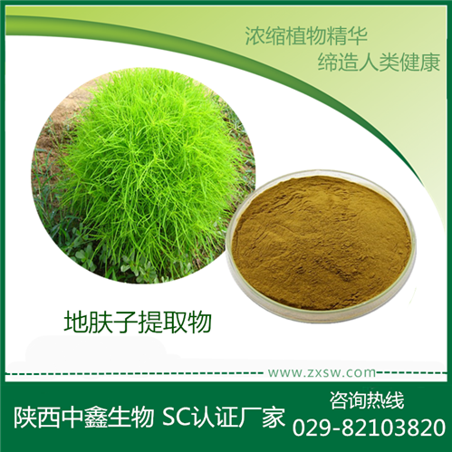 地膚子提取物 地膚子比例提取物