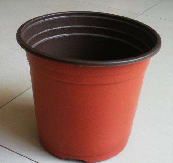 河北邢臺雙色盆供應(yīng)商圖片/河北邢臺雙色盆供應(yīng)商樣板圖 (2)