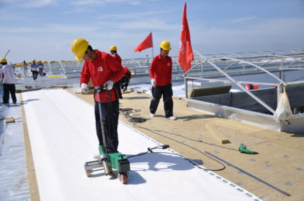 光面聚氯乙烯PVC帶無紡布背襯1.5厚 廣州防水卷材哪家好