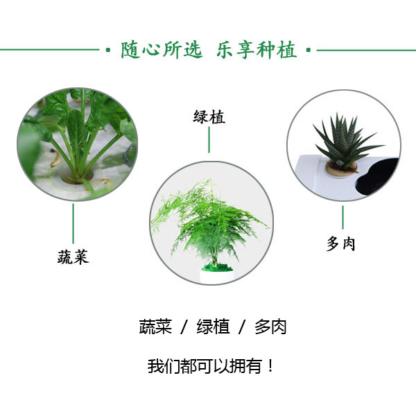 南通市水培专用厂家