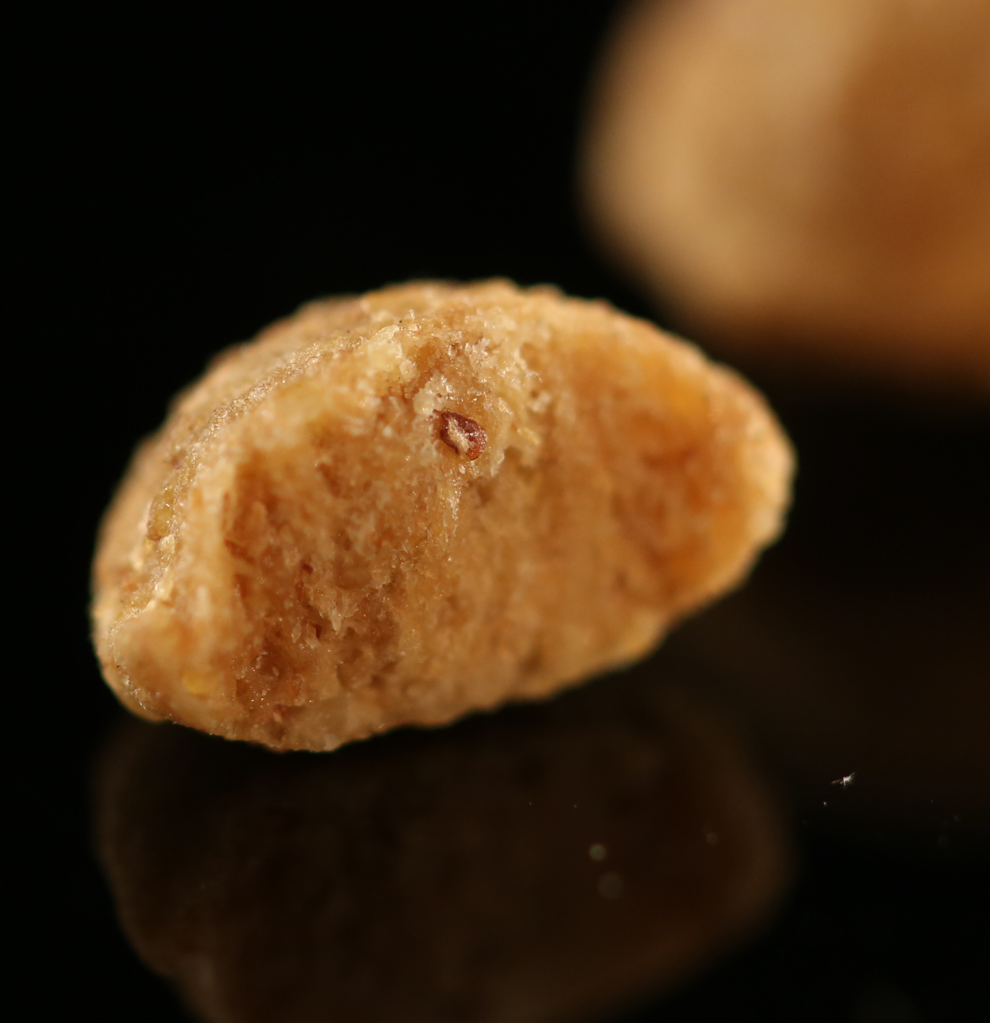 成貓糧圖片/成貓糧樣板圖 (2)