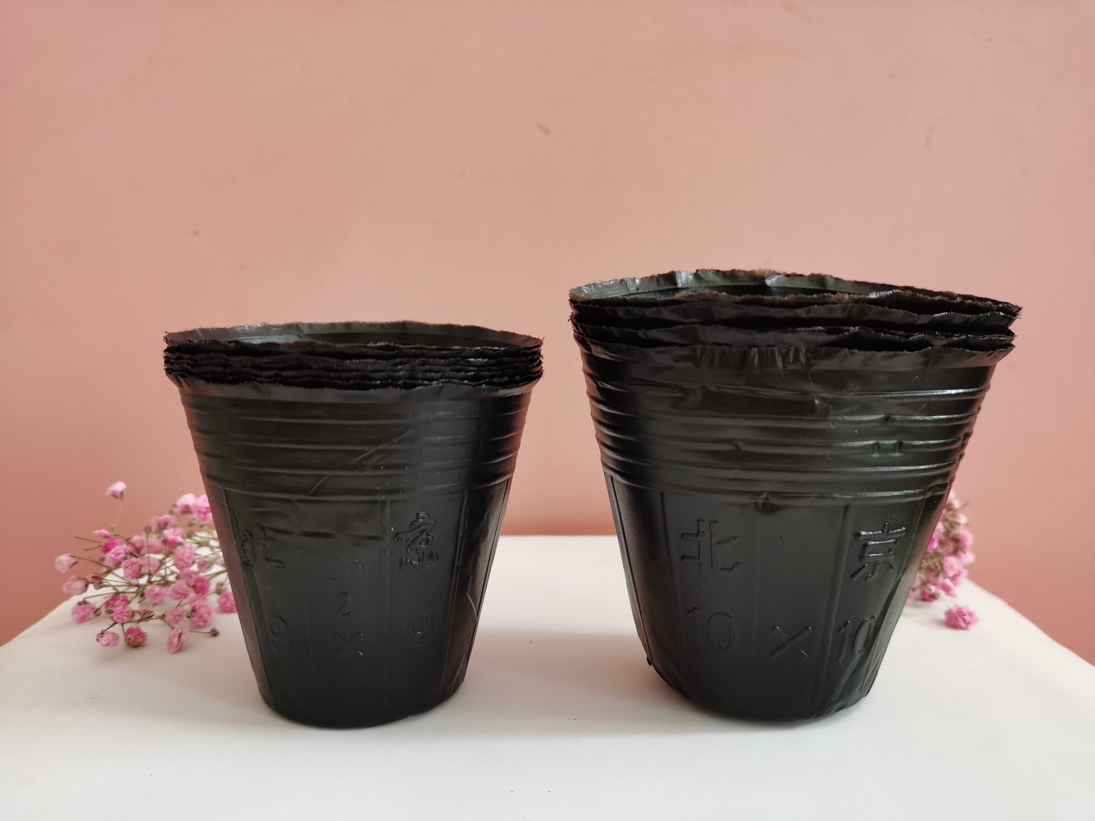 廣西營養(yǎng)缽銷售圖片/廣西營養(yǎng)缽銷售樣板圖 (1)