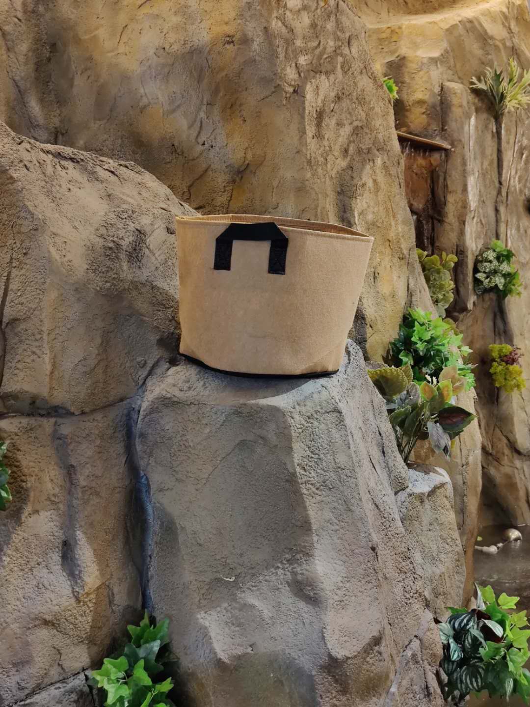 環(huán)?；ㄅ鑸D片/環(huán)?；ㄅ铇影鍒D (2)