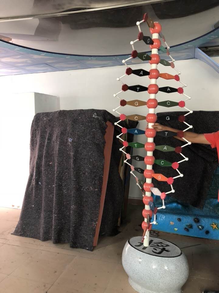 結(jié)構(gòu)模型圖片/結(jié)構(gòu)模型樣板圖 (2)