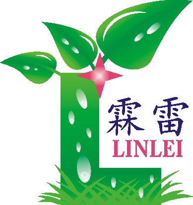 北京霖雷科技有限公司