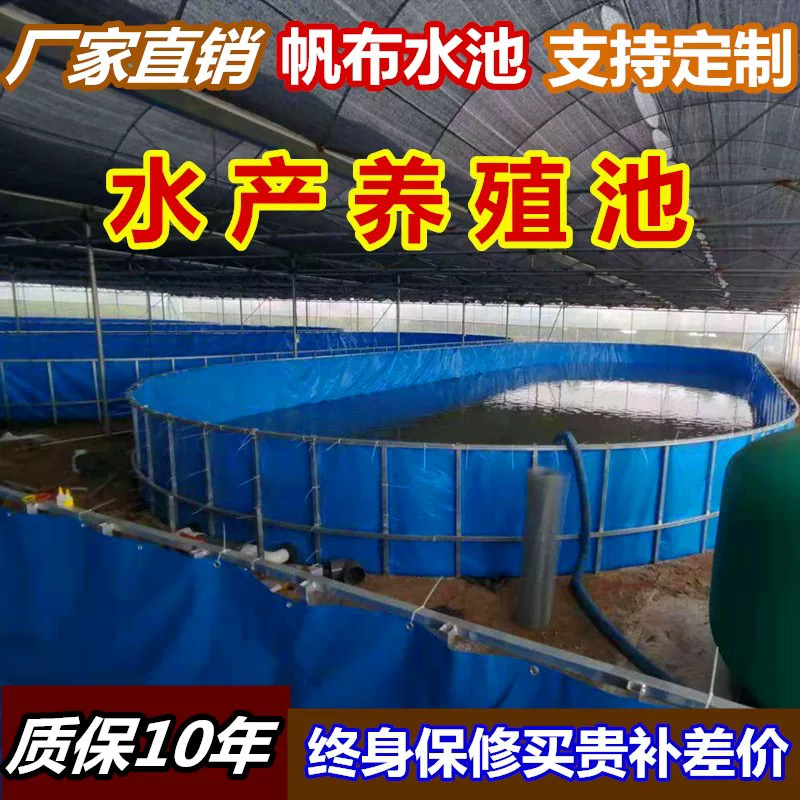 水產(chǎn)魚類圖片/水產(chǎn)魚類樣板圖 (2)