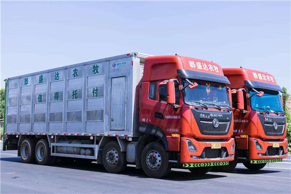 運(yùn)豬車 長(zhǎng)途活豬運(yùn)輸車 畜牧養(yǎng)殖運(yùn)輸車廠家直銷 支持全國(guó)分期付款