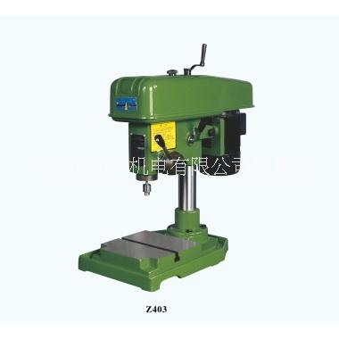 ZWG-4A高速台钻 ZWG-4B杭州西湖高速台钻 Z403西湖精密台钻图片