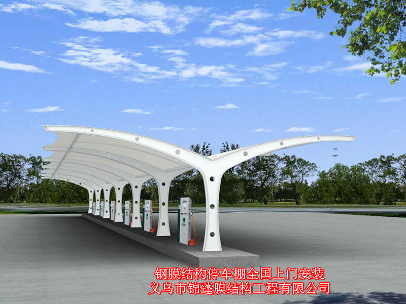 膜結(jié)構(gòu)電動車棚圖片/膜結(jié)構(gòu)電動車棚樣板圖 (1)