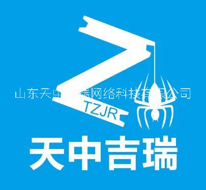 山东天中吉瑞网络科技有限公司