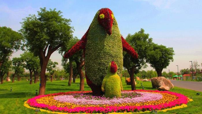 徐州五色草造型價(jià)格、供應(yīng)商、聯(lián)系方式、設(shè)計(jì)【徐州紅景天農(nóng)業(yè)發(fā)展有限公司】