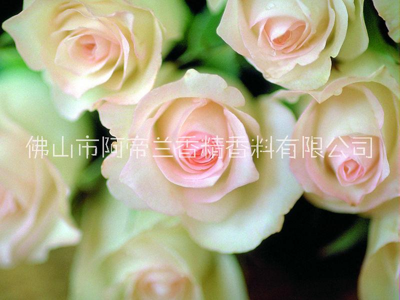 洗衣粉香精+彩漂粉香精+白玉蘭香圖片/洗衣粉香精+彩漂粉香精+白玉蘭香樣板圖 (4)