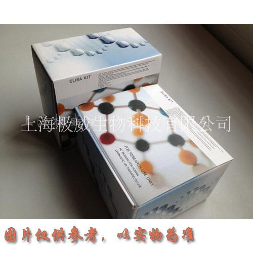 干擾素圖片/干擾素樣板圖 (2)