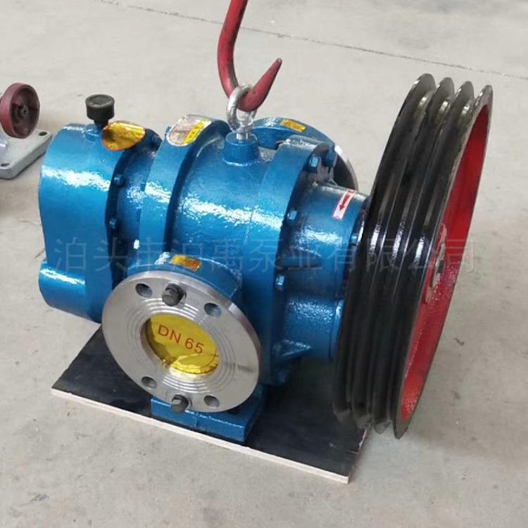 高粘度羅茨泵圖片/高粘度羅茨泵樣板圖 (2)