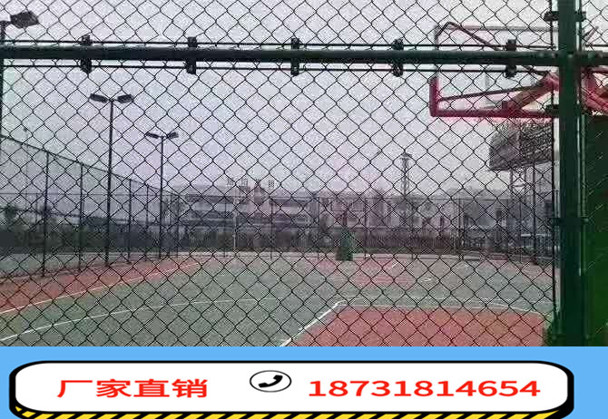 球場(chǎng)護(hù)欄圖片/球場(chǎng)護(hù)欄樣板圖 (4)