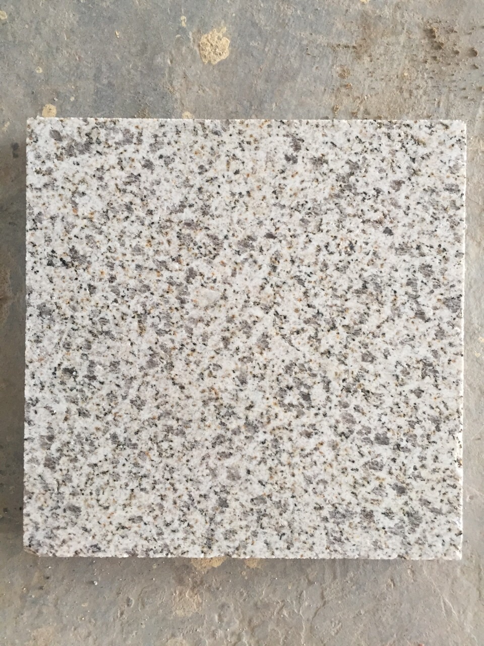 淺黃光面圖片/淺黃光面樣板圖 (2)