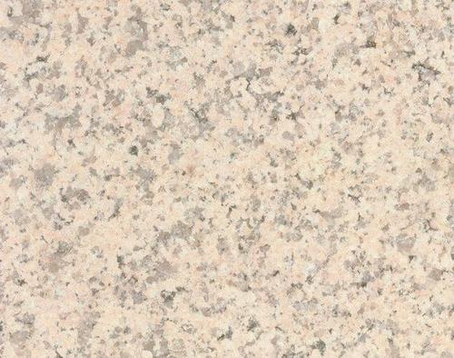 沙利士紅圖片/沙利士紅樣板圖 (4)