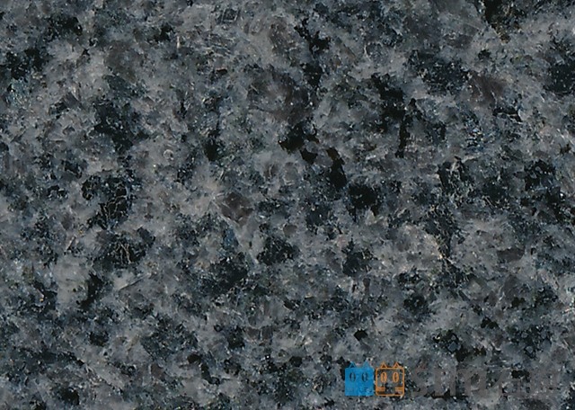 芝麻黑圖片/芝麻黑樣板圖 (4)