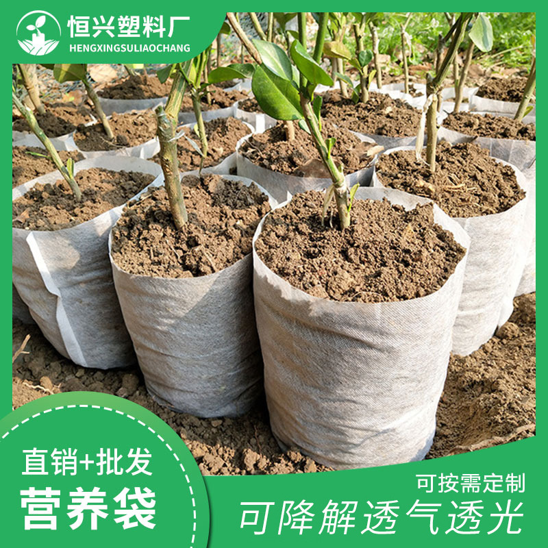 營養(yǎng)杯圖片/營養(yǎng)杯樣板圖 (3)