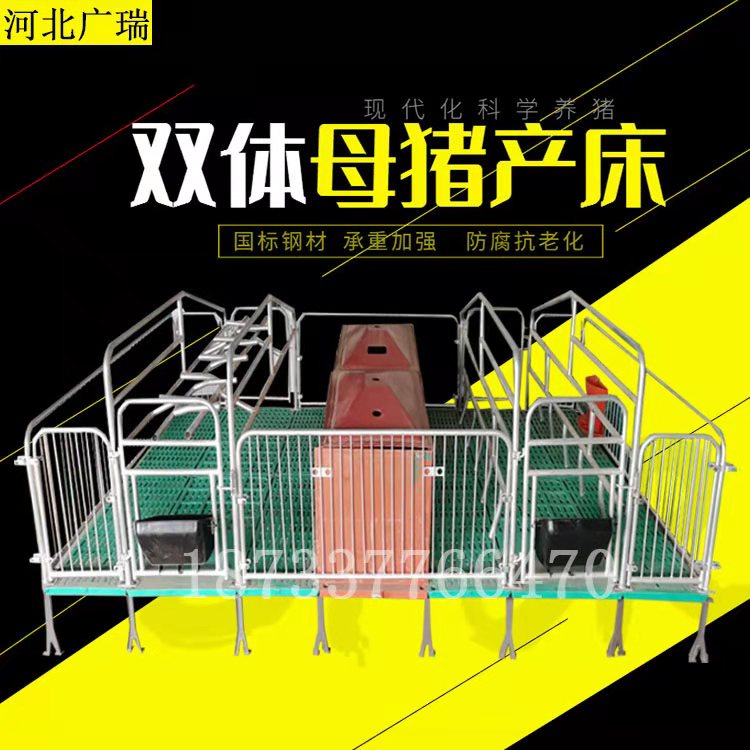 2021年新款雙體母豬產(chǎn)床產(chǎn)保一體兩用熱鍍鋅豬用定限位欄養(yǎng)殖設(shè)備