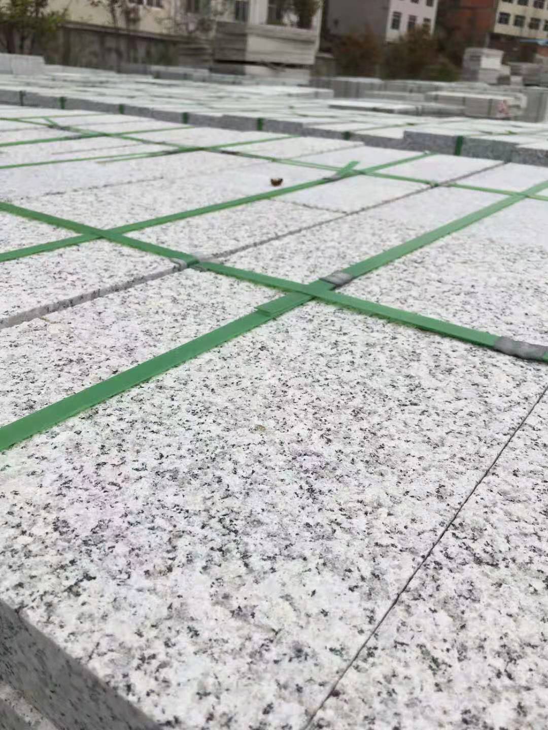 芝麻白圖片/芝麻白樣板圖 (4)