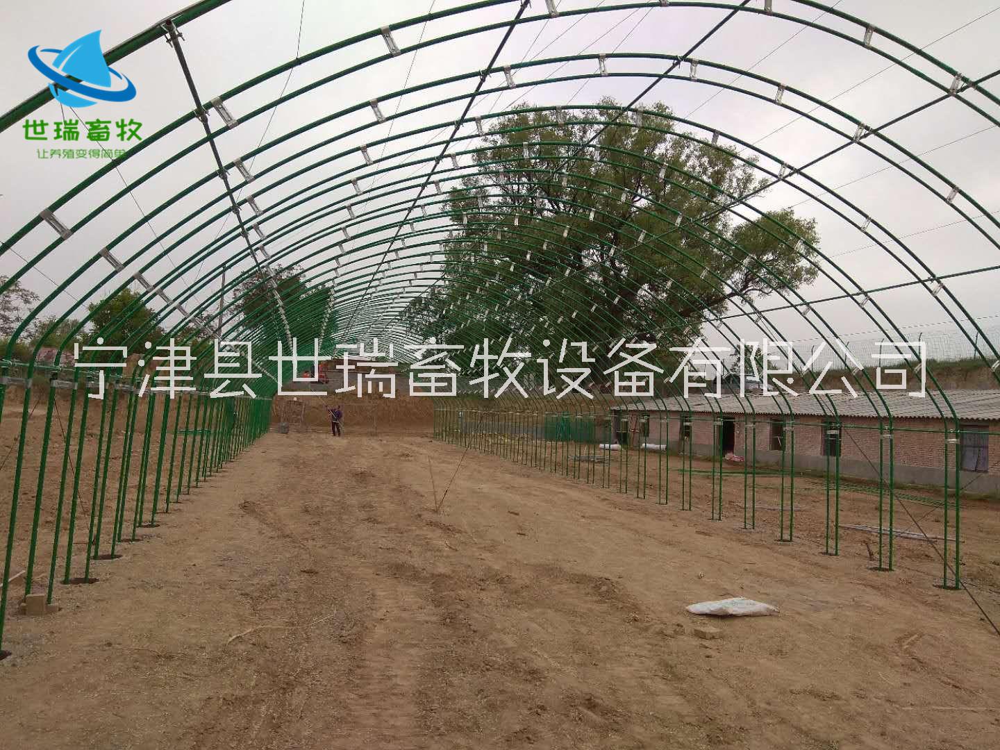 养殖大棚建设成本养殖大棚建设成本 搭建养猪棚厂家 世瑞畜牧大棚工程