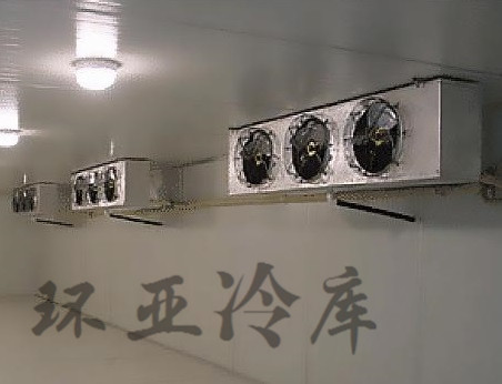 廣東醫(yī)藥冷庫(kù)施工-直銷-供應(yīng)