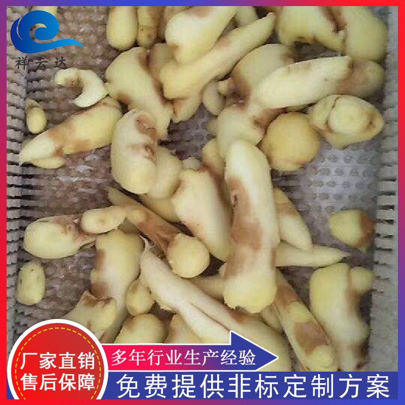 根莖類(lèi)毛刷去皮清洗機(jī)毛豆清洗機(jī)圖片/根莖類(lèi)毛刷去皮清洗機(jī)毛豆清洗機(jī)樣板圖 (3)