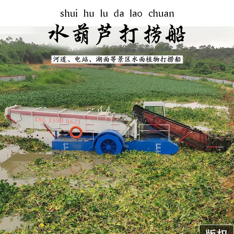 打撈圖片/打撈樣板圖 (4)