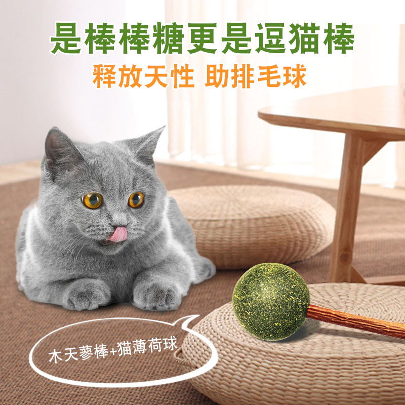 舔舔乐猫薄荷棒棒糖舔舔乐猫咪零食吐毛球猫宠物玩具逗猫棒 猫薄荷棒棒糖舔舔乐猫咪零食两支装