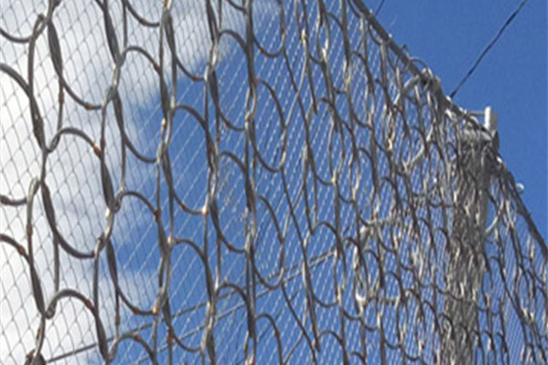 RXI-150型被動(dòng)防護(hù)網(wǎng)圖片/RXI-150型被動(dòng)防護(hù)網(wǎng)樣板圖 (2)