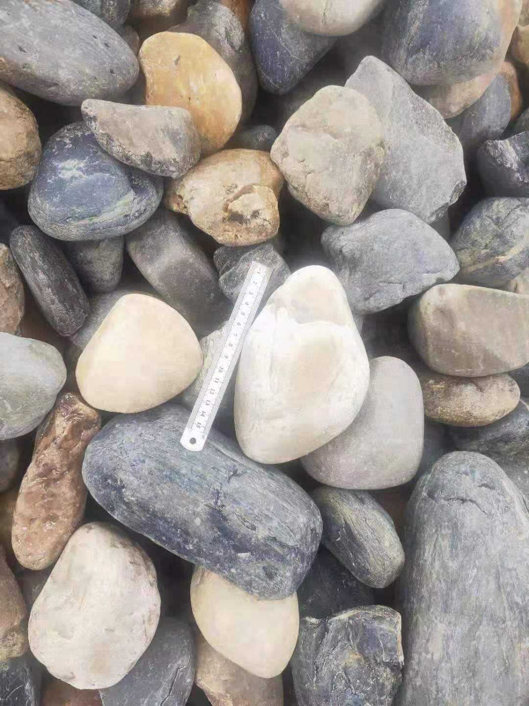 白鵝卵石圖片/白鵝卵石樣板圖 (1)