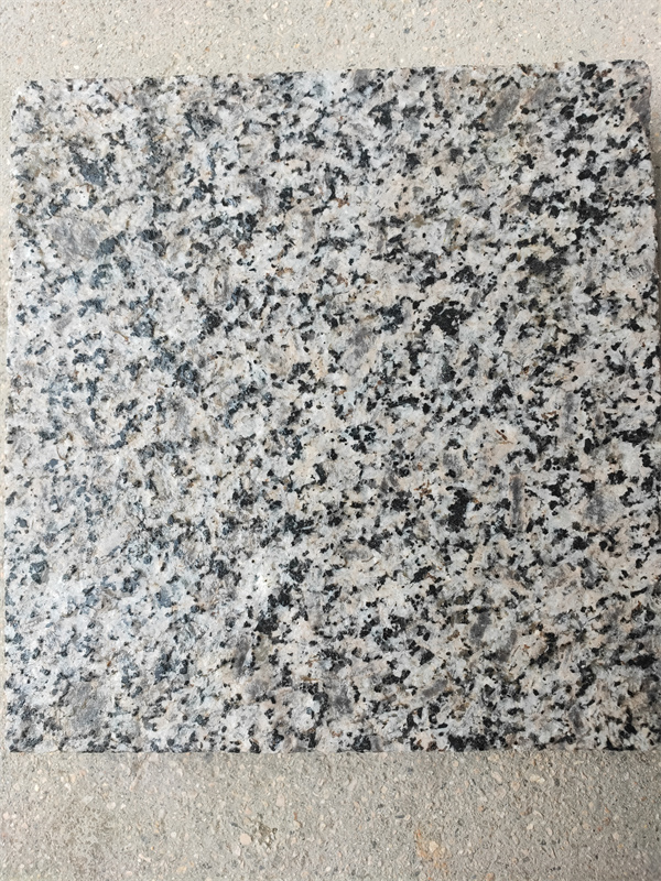 芝麻灰圖片/芝麻灰樣板圖 (4)