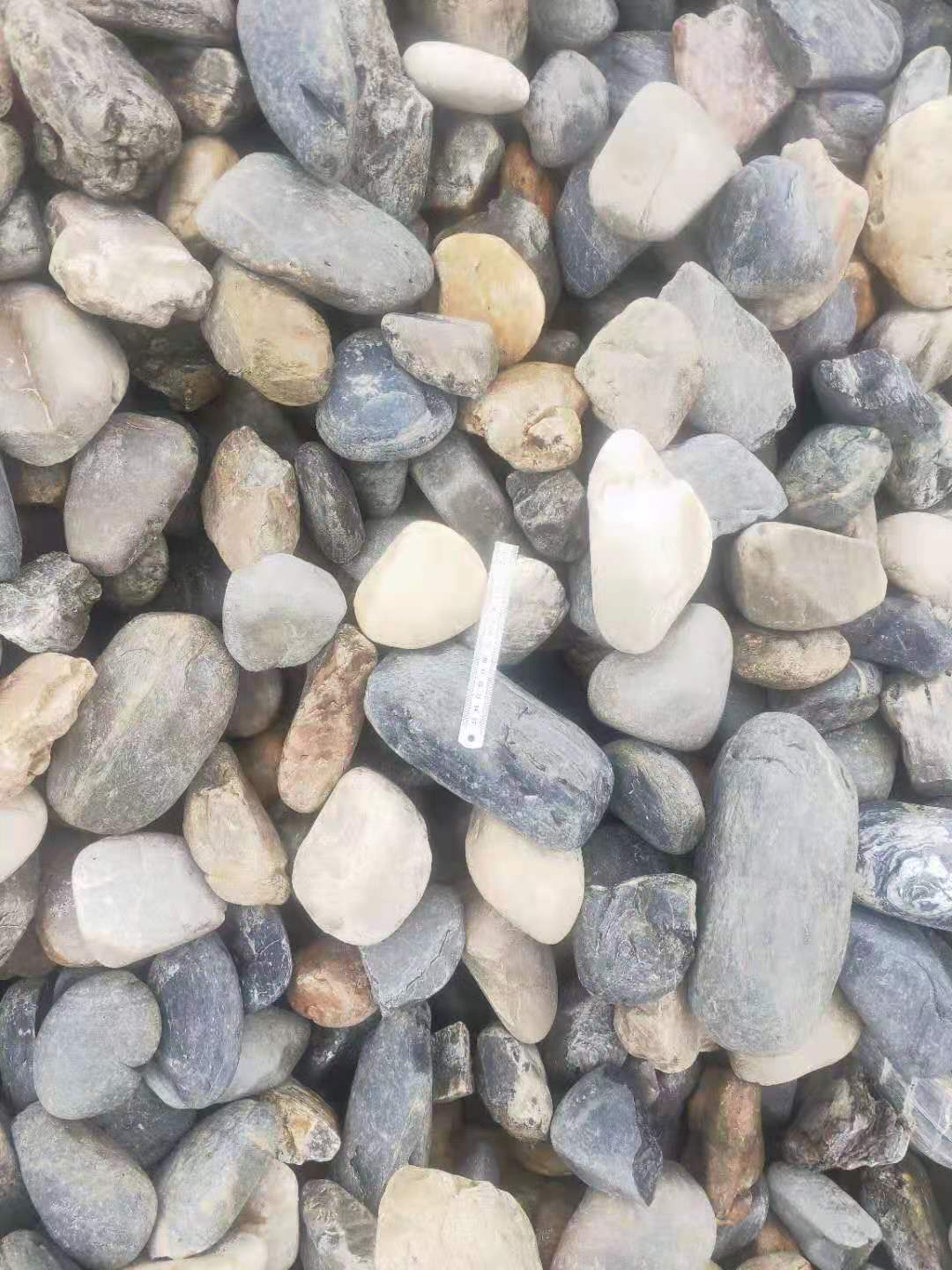 湖北白色鵝卵石圖片