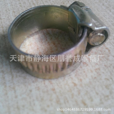 水管喉箍圖片/水管喉箍樣板圖 (3)