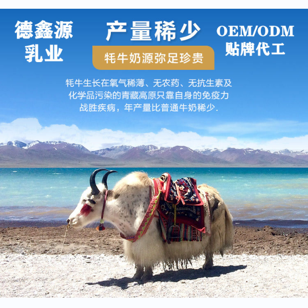牦牛乳粉貼牌代加工哪家比較好