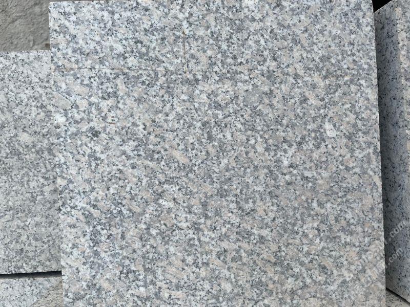 芙蓉白圖片/芙蓉白樣板圖 (2)