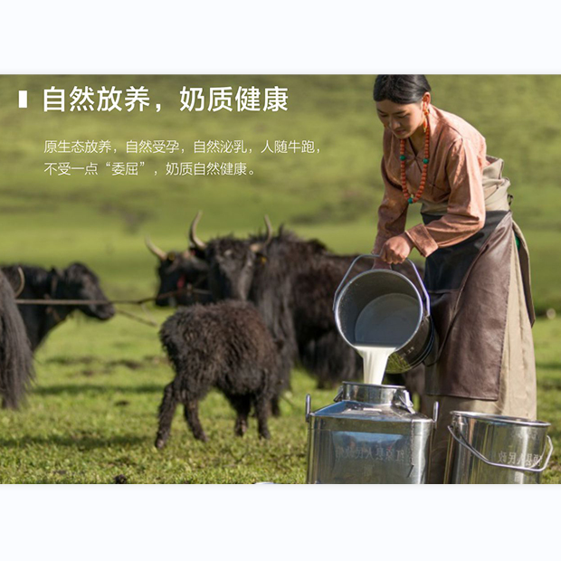 牛奶粉圖片/牛奶粉樣板圖 (1)