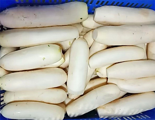廣州宏鴻農(nóng)產(chǎn)品蘿卜