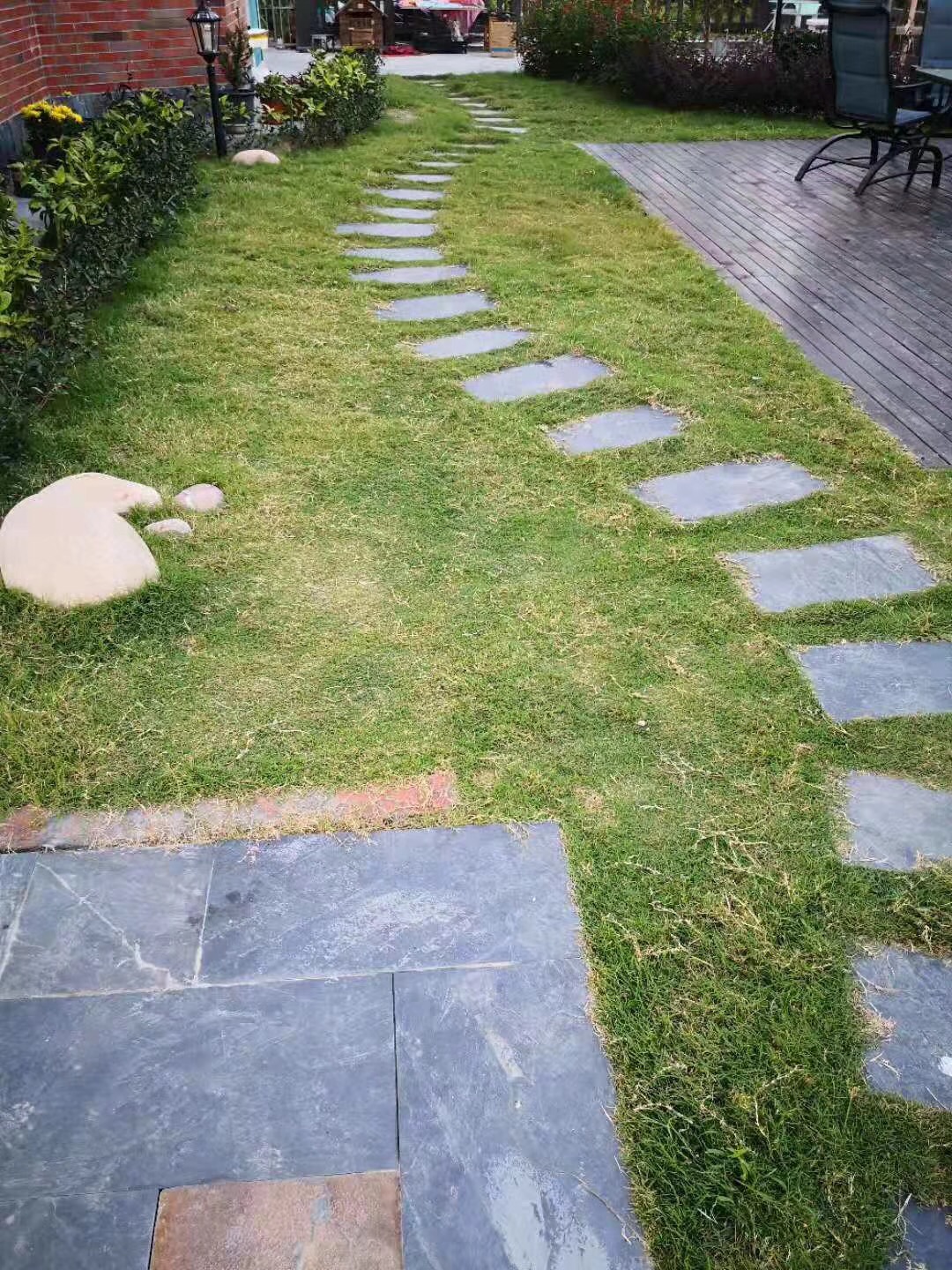 青灰色圖片/青灰色樣板圖 (3)