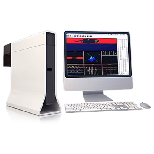 HT 步態(tài)分析系統(tǒng) 大鼠步態(tài)分析系統(tǒng) 小鼠步態(tài)分析系統(tǒng) 供應(yīng)