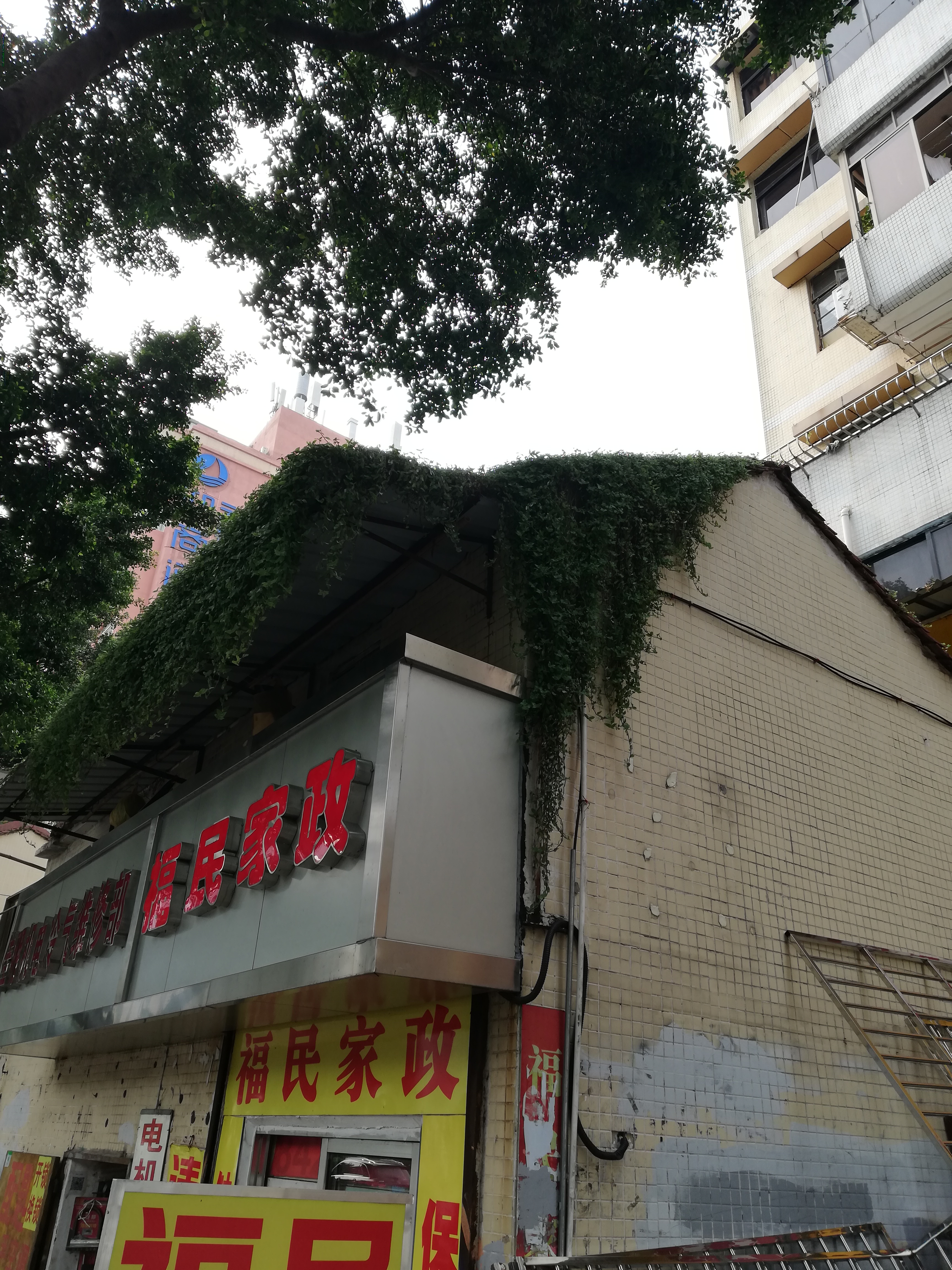 樓頂圖片/樓頂樣板圖 (1)