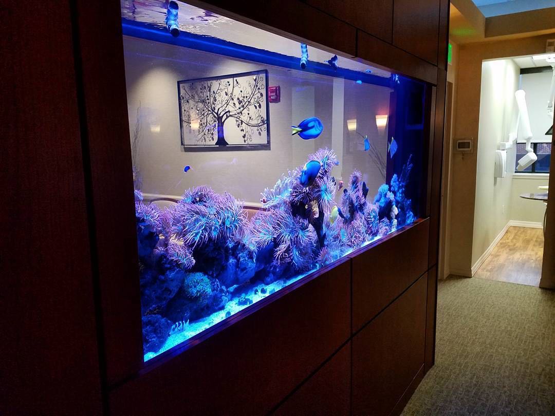 伯恩亞克力 水族箱魚(yú)缸 廠家報(bào)價(jià)  接受定制 品質(zhì)保障