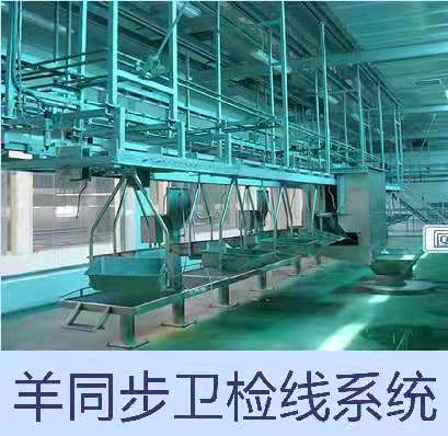 羊用同步衛(wèi)檢線 屠宰流水線 羊屠