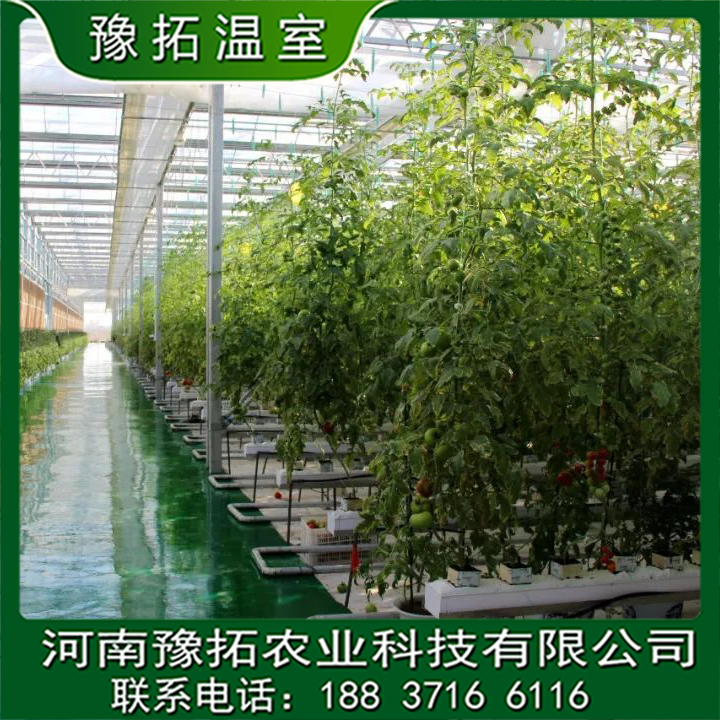 設(shè)計(jì)連棟智能玻璃溫室圖片