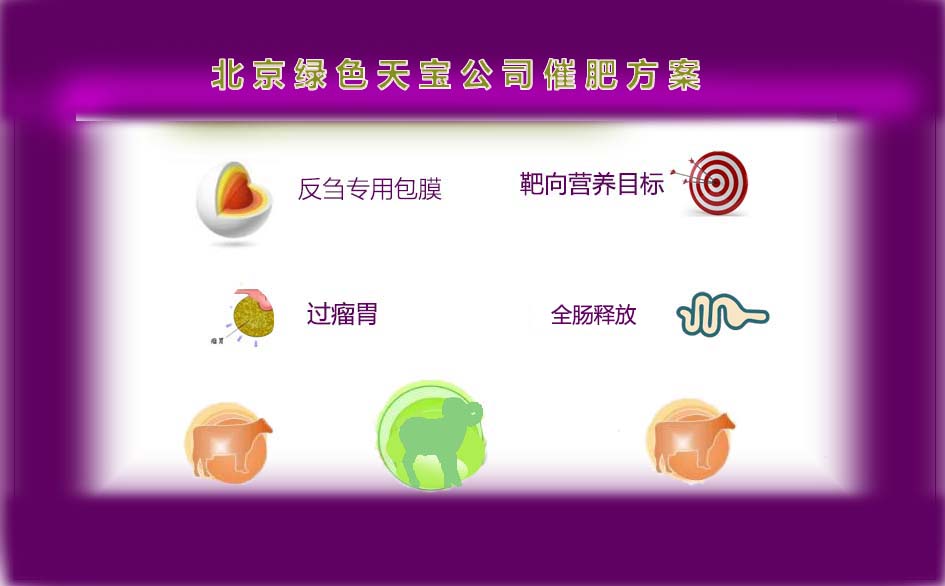 胍基乙酸圖片/胍基乙酸樣板圖 (2)