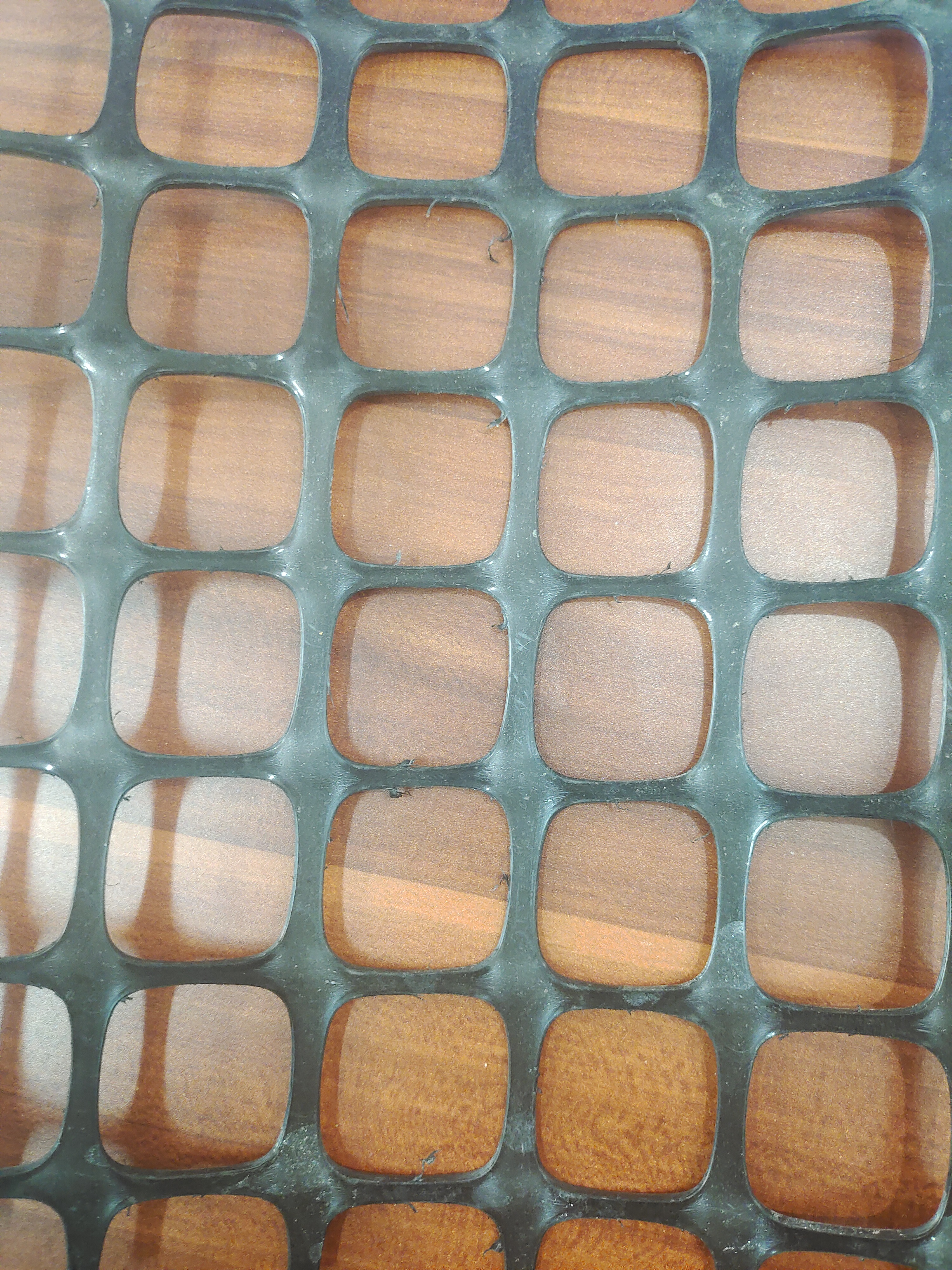 雙向塑料土工格柵圖片/雙向塑料土工格柵樣板圖 (2)